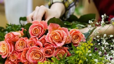 flowers