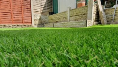 Artificial Grass