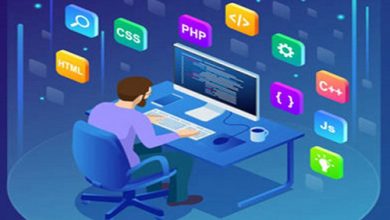 mvc training