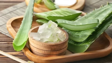 aloe vera