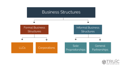 Business Legal Structure