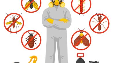 Pest control service in Dhaka