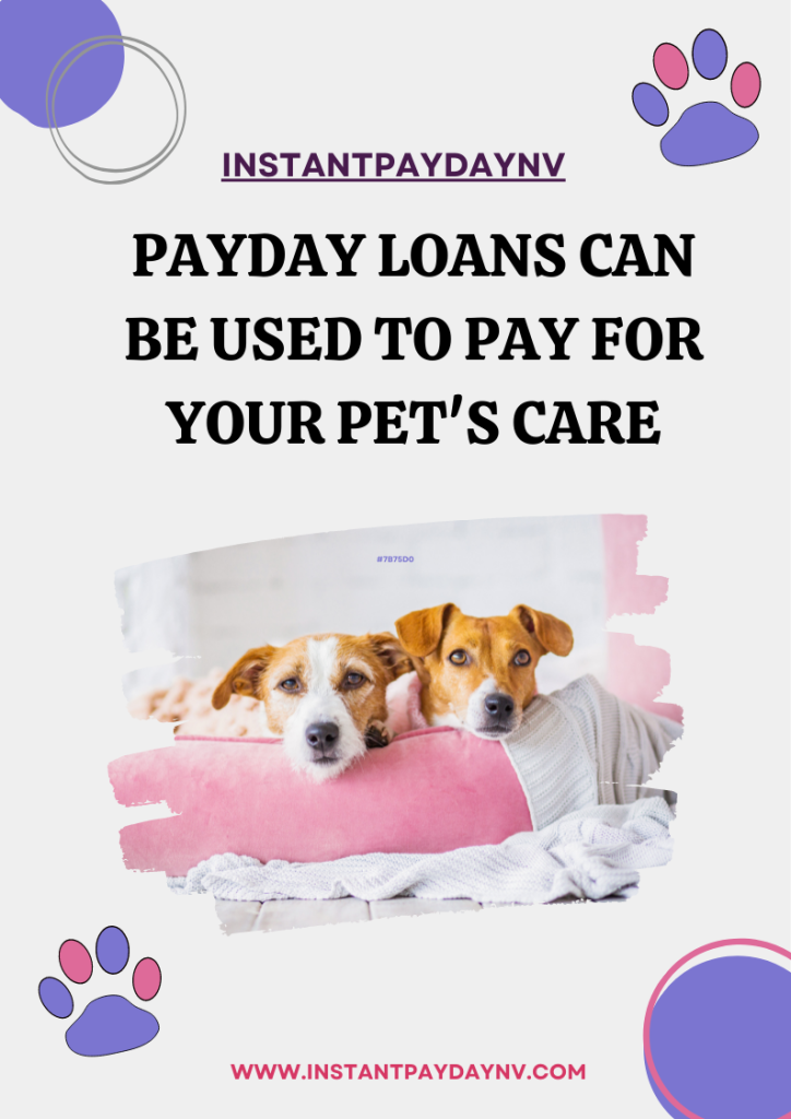 Payday loans can be used to pay for your pet's care