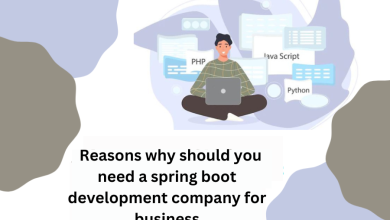 spring boot development